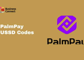 PalmPay USSD Codes (1)