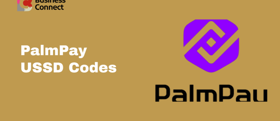 PalmPay USSD Codes (1)