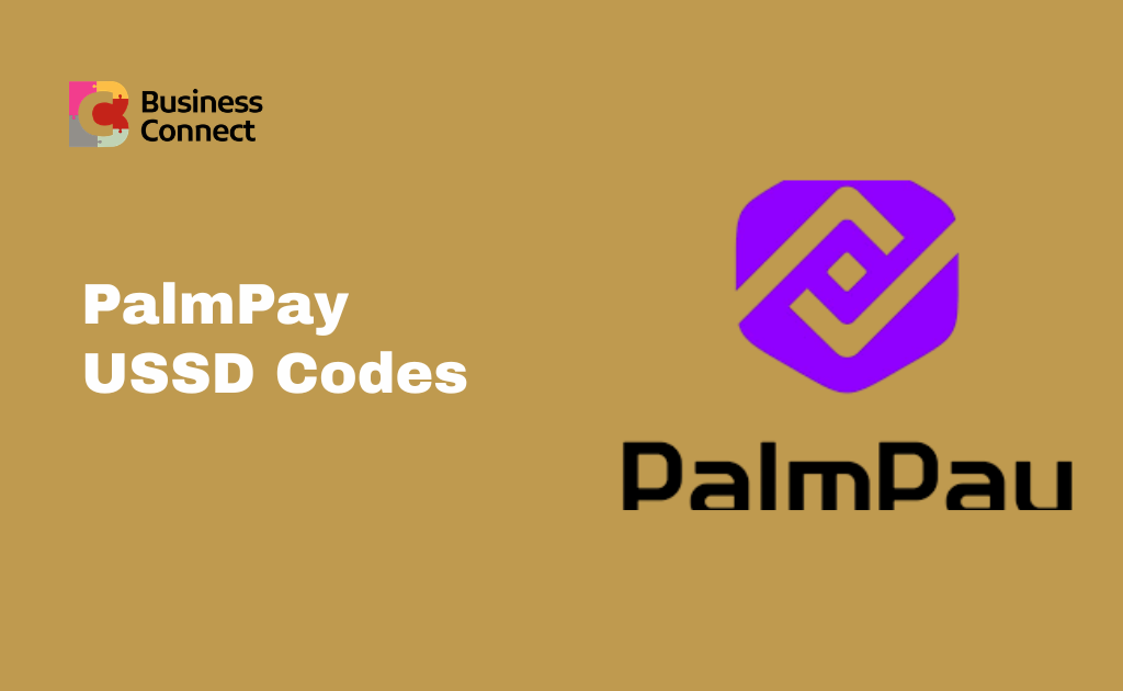 PalmPay USSD Codes (1)