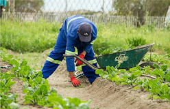 CityFresh Integrated Farms