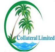 Collateral Limited