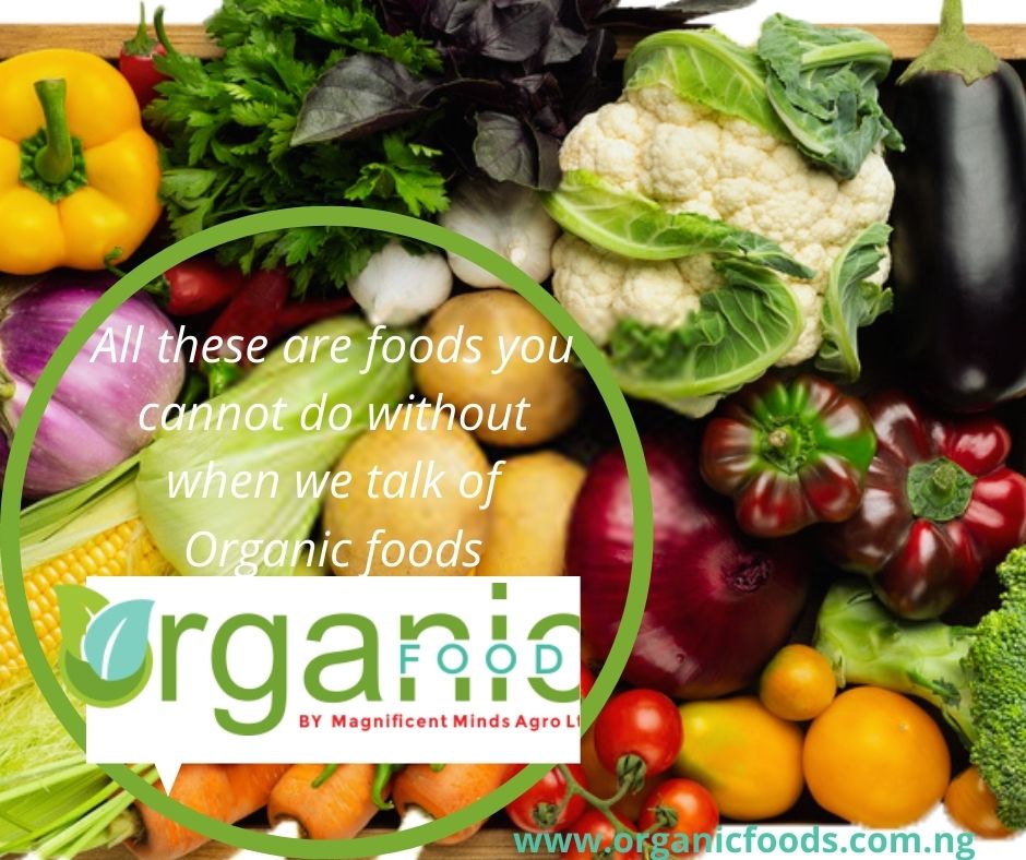 Organic Foods Nigeria