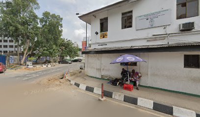 Lagos Island Local Government