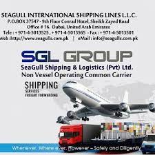 Seagull Air Limited