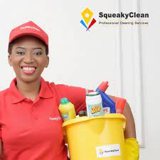 Squeaky Clean Nigeria