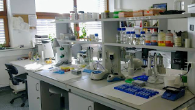 dandeo medical laboratory