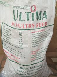 images-2022-10-25T223354.401