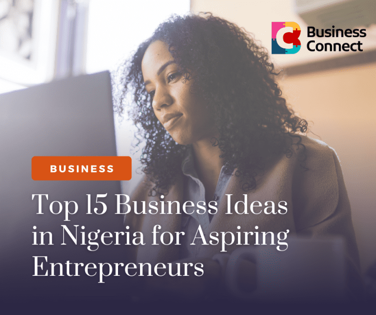 Top 15 Business Ideas in Nigeria for Aspiring Entrepreneurs